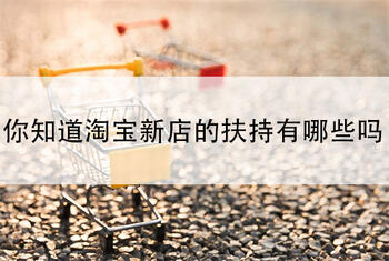 你知道淘宝新店的扶持有哪些吗?