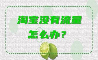 淘宝没有流量怎么办?_淘铺王