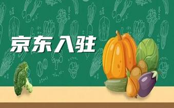 京东入驻江苏产业带招商开始啦！哪些地区的哪些类目有机会呢？