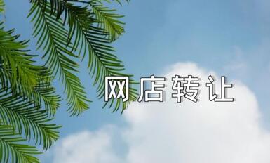 为什么要在平台上交易网店?