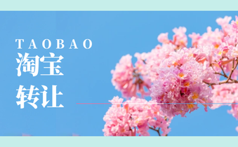 什么因素会影响淘宝转让的价格?