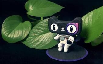 入驻天猫专营店需要什么资料?