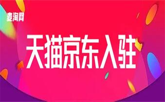现阶段天猫入驻方式有哪些?