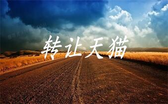 开家具类目天猫旗舰店需要多少钱
