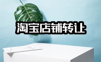 多少钱可以开网店?