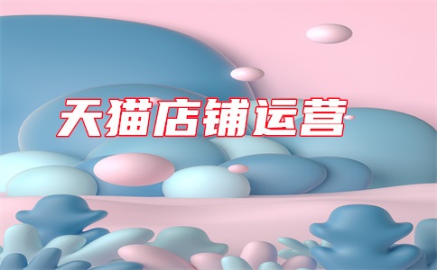 天猫海外旗舰店可以找人支付吗?可以开发票吗?