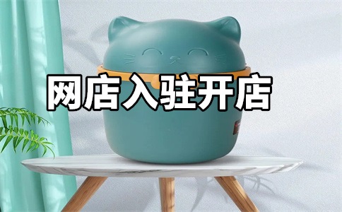 入驻天猫旗舰店的具体要求是什么?有什么好处?