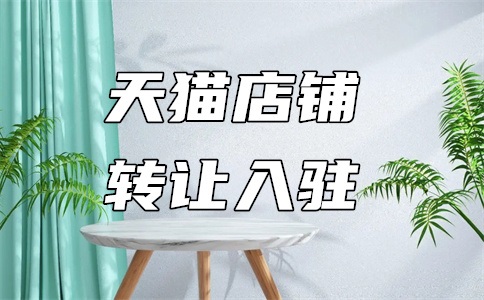 天猫入驻商家项目有哪些?怎么选择?