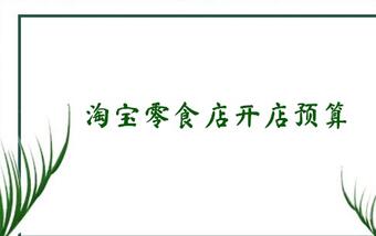 淘宝零食店开店预算多少？
