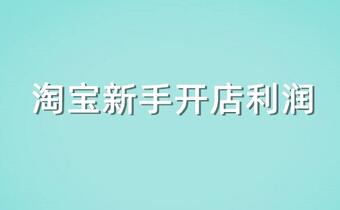 新手开淘宝店卖利润高的还是低的好呢？