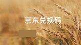 京东兑换码错误是怎么回事