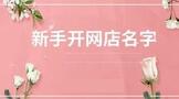 新手开网店名字，2022新手开网店名字推荐