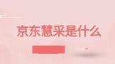 京东慧采是什么模式?怎么运营?