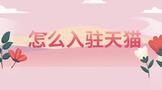 怎么入驻天猫超市网店