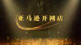 亚马逊开网店要多少钱