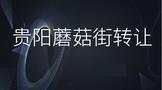贵阳蘑菇街转让合同范本