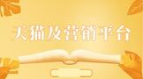 天猫及营销平台推广价格