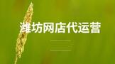 潍坊网店代运营模式